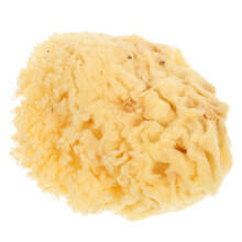 OUNONA Sea Sponge for Art and Craft Soft Absorbent