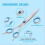 Dog Scissors with Rounded Safety Tips Set of 4 3