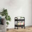 4-Tier Plastic Storage Cart with Armrests and Wheels 3