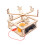 Scientific Small Production Diy Handmade Educational Science And Teaching Aids 1