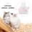 Transparent Hamster Travel Box Lightweight Carrier with 6