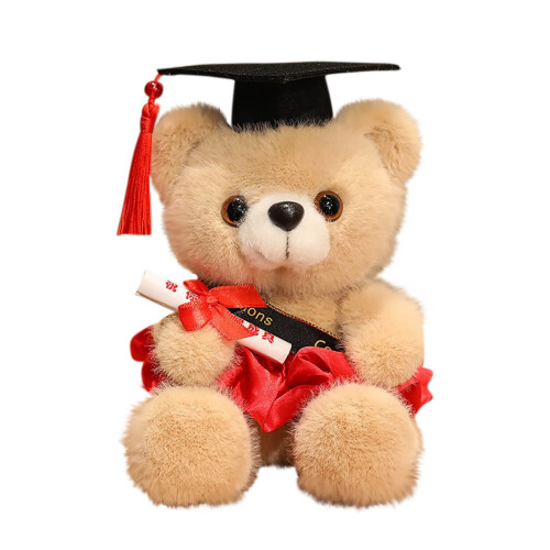 Doctoral Graduation Bear Stuffed Animal Doll 2