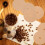 Natural Unbleached Percolator Coffee Filters 600 pcs 4