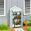 Four-Tier Mini Greenhouse, with Reinforced Plastic Cover 3