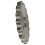 Motorcycle Front Engine Sprocket 16T 17mm for 50cc-160cc ATV 8