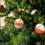 Shiny Glitter Glass Ornaments Orange 2-Pack 3