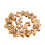 Brass Elbow Connector Threaded Fitting Gold 5