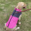Reflective Waterproof Dog Coat Winter Warm for Small Medium 3