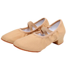 Women's Latin Dance Shoes Mid Heel Non-Slip Breathable