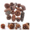 MUSEYA Christmas Pine Cone Decor Set with DIY Dry Lotus 3