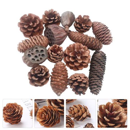 MUSEYA Christmas Pine Cone Decor Set with DIY Dry Lotus 2
