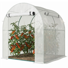 Walk in Polytunnel Greenhouse, Green House for Garden with Roll-up Window and Door, 1.8 x 1.8 x 2 m, White
