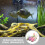 Aquarium Decorations Dark Coral 9-Piece Set 7