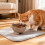 Cat Drinking Bowl Large Capacity Wide Mouth 4