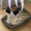 Cat Litter Box Semi-Closed Portable Splashproof 1 Unit 5