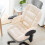 Winter Seat Cushion with Lumbar Support and Heating Pad 1