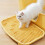 Cat Litter Mat Double-Layer Waterproof with Sand Control 1