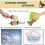 Small Animal Wood Activity Toys Pack 10 4
