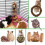 Small Animal Wood Activity Toys Pack 10 6