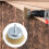 Wire Wheel Brush Hex Shank Quick-Change Brass-Plated 5