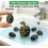 Hatching Dinosaur Eggs Colorful 60 Pcs 7