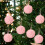 Christmas Ornaments Furry Green 8cm Tree Decor 5