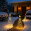 AuroraX Solar Christmas Tree Lights Waterproof 8 Modes 6