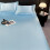 Ice Silk Bed Sheet Set with Pillow Cases 6