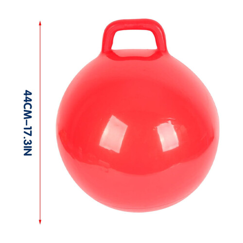 Hopper Ball 18in Diameter for Ages 3-6 with Handle 2