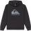 Quiksilver (L, Anthracite) Quiksilver Kids Comp Logo Pullover Hoodie 1