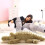Realistic Crocodile Plush Pillow Jumbo 24 inches 4