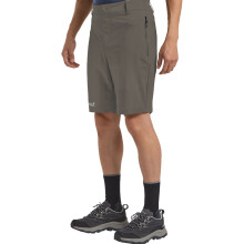 (XL, Flint) Jack Wolfskin Mens Hikeout Texashield Walking Shorts