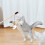Interactive Cat Teaser Wand with Furry Plush Accessories 1 5