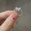 Bowknot Ring Adjustable Shiny Delicate Jewelry WY4-1 1