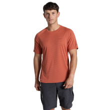 (S, Dark Sahara) Craghoppers Mens NosiLife SolarShield+ Short Sleeve T-Shirt