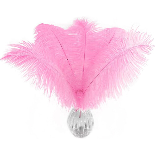 Ostrich Feathers Natural White 10-12 inch 20 pcs