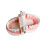 Dental Standard Teeth Models Human Mouth Teaching Tools 5