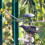Bird Feeder Perches Set with Acrylic Holder 5 pcs 6