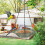 Acrylic Window Bird Feeder with Suction Cups 4