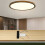 Ceiling Fan Light Remote Control Dimmable Driver 5