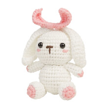 Crochet Starter Kit for Beginners with Tools and Tutorials