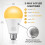 LED Bulbs A19 E26 3000K 500/1000/1500 lm 2-Pack 5