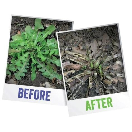Westland Resolva Pro Weedkiller Xtra Tough 3L RTU Ready to Use Weed Control 2