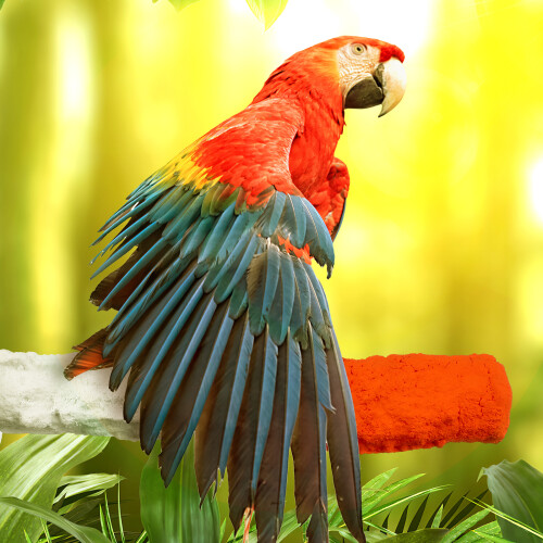 ROSENICE Bird Standing Pole with Cuttlebone Perch 17.5 x 2