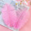Ostrich Feathers Natural White 10-12 inch 20 pcs 3