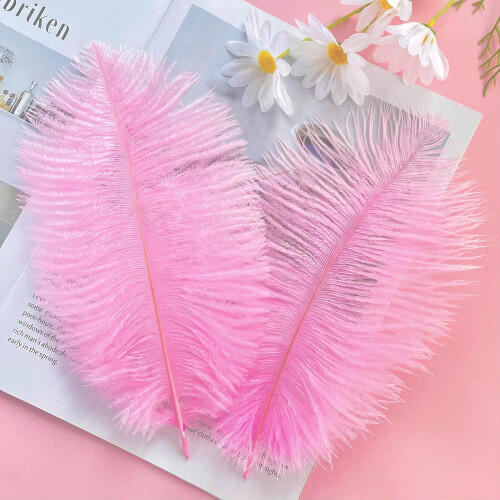 Ostrich Feathers Natural White 10-12 inch 20 pcs 2