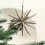 Champagne Exploding Star Ornament White Transparent 1 Pc 6