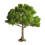 Mini Landscape Tree Decor for DIY Sand Table 5.51x5.9 in 2