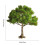 Mini Landscape Tree Decor for DIY Sand Table 5.51x5.9 in 3