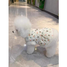 VĂŞtements pour chats et petits chiens - Printemps/Automne